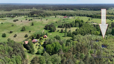 Działka rolna 5 ha pod lasem blisko jeziora - Gronowo   -
Zachodniopomorskie Zdjęcie nr 3