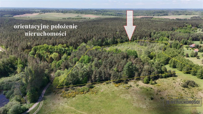 Działka rolna 5 ha pod lasem blisko jeziora - Gronowo   -
Zachodniopomorskie Zdjęcie nr 5