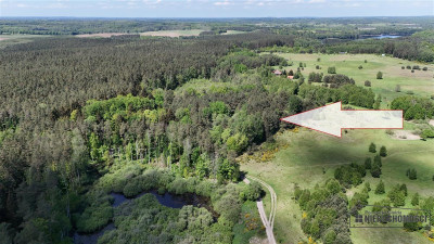 Działka rolna 5 ha pod lasem blisko jeziora - Gronowo   -
Zachodniopomorskie Zdjęcie nr 6