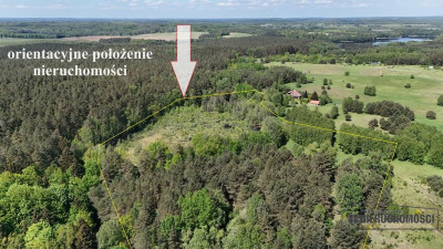Działka rolna 5 ha pod lasem blisko jeziora - Gronowo   -
Zachodniopomorskie Zdjęcie nr 8