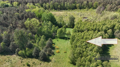 Działka rolna 5 ha pod lasem blisko jeziora - Gronowo   -
Zachodniopomorskie Zdjęcie nr 9