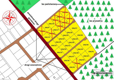 Okolica jeziora Dołgie i kompleksów leśnych - Dołgie   -
Zachodniopomorskie Zdjęcie nr 3