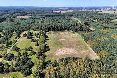 Okolica jeziora Dołgie i kompleksów leśnych - Dołgie   -
Zachodniopomorskie Zdjęcie nr 7