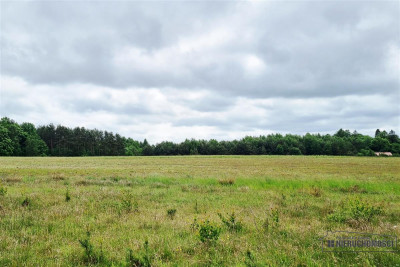 20 km od Koszalina działka budowlana na raty 0 - Krytno   -
Zachodniopomorskie Zdjęcie nr 11