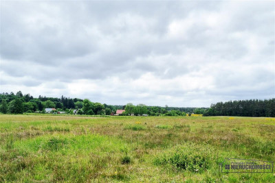 20 km od Koszalina działka budowlana na raty 0 - Krytno   -
Zachodniopomorskie Zdjęcie nr 13