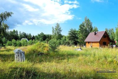 Blisko jeziora i natury - urocza działka budowlana - Dołgie   -
Zachodniopomorskie Zdjęcie nr 8