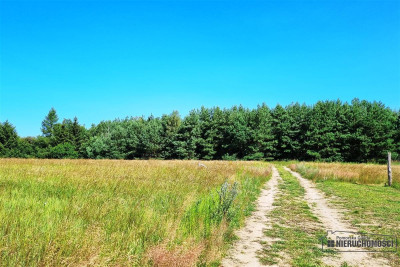 Turowo - ok 3 km od Szczecinka - Szczecinek   -
Zachodniopomorskie Zdjęcie nr 14