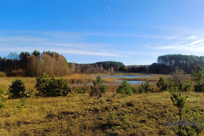 Wyjątkowa szansa inwestycyjna w sercu natury - Komorze   -
Zachodniopomorskie Zdjęcie nr 4