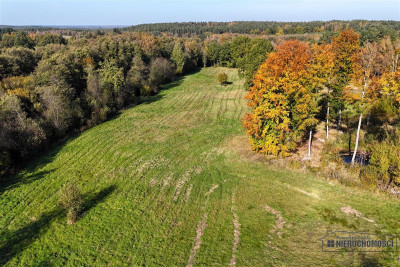 900 zł miesięcznie - kup na raty bez banku - Knyki   -
Zachodniopomorskie Zdjęcie nr 6