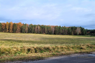 Działka na skraju wsi w pobliżu lasu - Ubiedrze   -
Zachodniopomorskie Zdjęcie nr 9