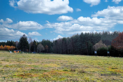 Działka na skraju wsi w pobliżu lasu - Ubiedrze  -
Zachodniopomorskie Zdjęcie nr 13