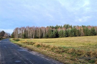 Działka na skraju wsi w pobliżu lasu - Ubiedrze   -
Zachodniopomorskie Zdjęcie nr 7