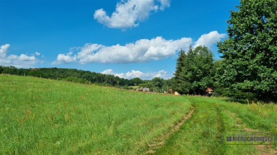 Działki na raty w miejscowości Lubiechów Dolny ok - Lubiechów Dolny   -
Zachodniopomorskie Zdjęcie nr 10