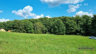 Działki na raty w miejscowości Lubiechów Dolny ok - Lubiechów Dolny   -
Zachodniopomorskie Zdjęcie nr 14