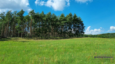 Działki na raty w miejscowości Lubiechów Dolny ok - Lubiechów Dolny   -
Zachodniopomorskie Zdjęcie nr 8