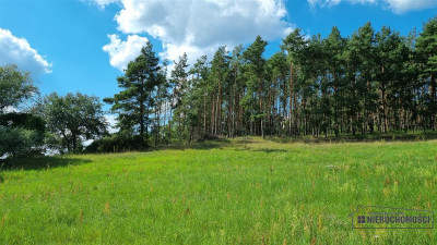 Działki na raty w miejscowości Lubiechów Dolny ok - Lubiechów Dolny   -
Zachodniopomorskie Zdjęcie nr 9