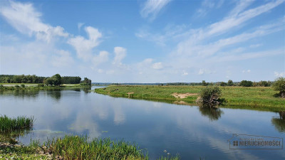 Działki na raty w miejscowości Piasek nad Odrą 70  - Piasek   -
Zachodniopomorskie Zdjęcie nr 8