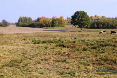 750 zł miesięcznie 10 wpłaty - na raty bez banku - Mieszałki   -
Zachodniopomorskie Zdjęcie nr 12