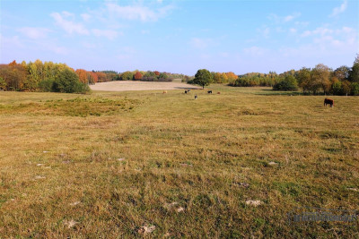 750 zł miesięcznie 10 wpłaty - na raty bez banku - Mieszałki   -
Zachodniopomorskie Zdjęcie nr 13