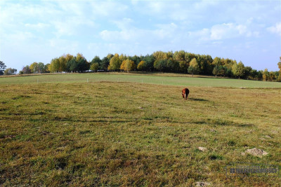 750 zł miesięcznie 10 wpłaty - na raty bez banku - Mieszałki   -
Zachodniopomorskie Zdjęcie nr 14