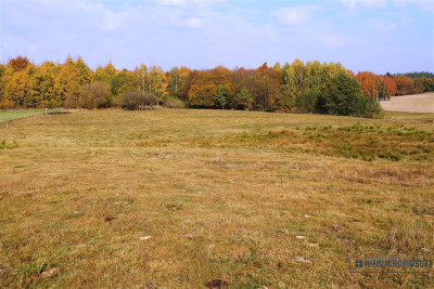 750 zł miesięcznie 10 wpłaty - na raty bez banku - Mieszałki   -
Zachodniopomorskie Zdjęcie nr 2