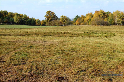 Działki na uboczu wsi sprzedaż na raty bez banku - Mieszałki   -
Zachodniopomorskie Zdjęcie nr 6