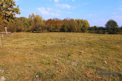 Działki na uboczu wsi sprzedaż na raty bez banku - Mieszałki   -
Zachodniopomorskie Zdjęcie nr 9