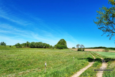 Działka siedliskowa na raty w Parsęcku - Parsęcko   -
Zachodniopomorskie Zdjęcie nr 10