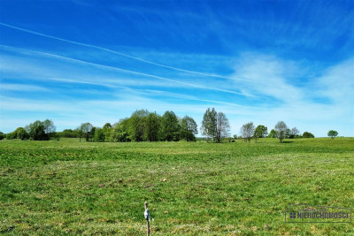 Działka siedliskowa na raty w Parsęcku - Parsęcko   -
Zachodniopomorskie Zdjęcie nr 6