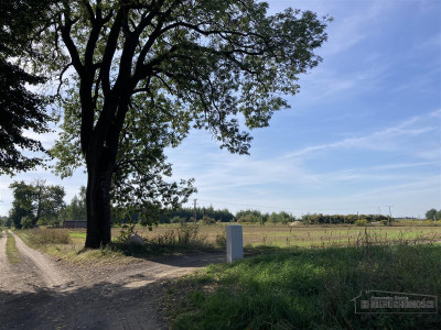 Działki na raty 8 km od Nowogardu - Wyszomierz   -
Zachodniopomorskie Zdjęcie nr 4