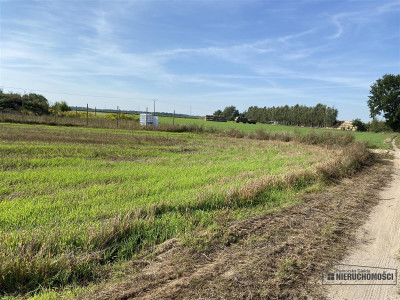 Działki na raty 8 km od Nowogardu - Wyszomierz   -
Zachodniopomorskie Zdjęcie nr 9