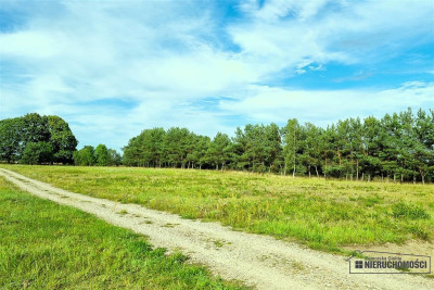 Działka rekreacyjna w okolicy jeziora Dołgie - Dołgie   -
Zachodniopomorskie Zdjęcie nr 8