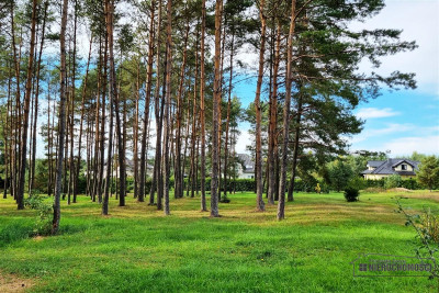 Niepowtarzalna unikatowa nieruchomość - Dołgie   -
Zachodniopomorskie Zdjęcie nr 14