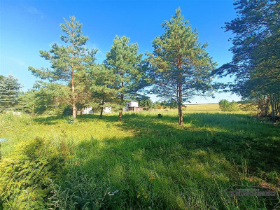 Działka budowlana nad jeziorem Db dojazd i plaża - Dołgie   -
Zachodniopomorskie Zdjęcie nr 2