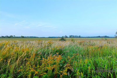 Działka letniskowa-budowlana nad jez Wierzchowo - Stare Wierzchowo   -
Zachodniopomorskie Zdjęcie nr 13