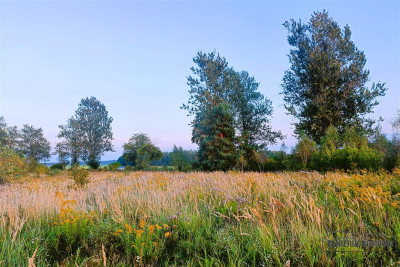 Działka letniskowa-budowlana nad jez Wierzchowo - Stare Wierzchowo   -
Zachodniopomorskie Zdjęcie nr 14