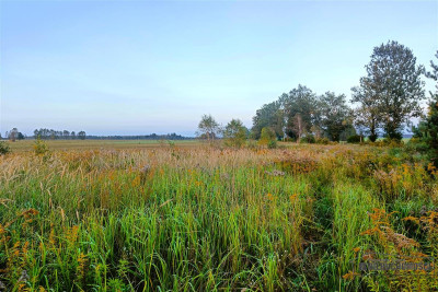 Działka letniskowa-budowlana nad jez Wierzchowo - Stare Wierzchowo   -
Zachodniopomorskie Zdjęcie nr 9