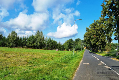 Działki na skraju wsi Radomyśl ok 10km od Sz-nka - Radomyśl   -
Zachodniopomorskie Zdjęcie nr 8