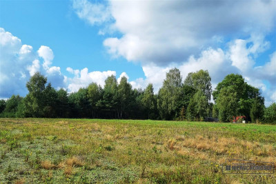 Działki na skraju wsi Radomyśl ok 10km od Sz-nka - Radomyśl   -
Zachodniopomorskie Zdjęcie nr 9