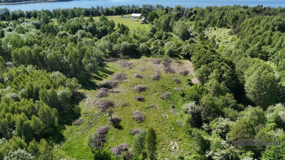 Działka budowlana w pobliżu Jeziora Pile - Piława   -
Zachodniopomorskie Zdjęcie nr 4