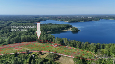 Działka nad samym Jeziorem Pile - Krągi   -
Zachodniopomorskie Zdjęcie nr 4