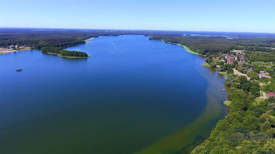 DZIAŁKA BUDOWLANA OK 300 m OD JEZIORA PILE - Dąbrowica   -
Zachodniopomorskie Zdjęcie nr 4