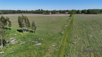 Działka budowlana w pobliżu Jeziora Pile - Piława   -
Zachodniopomorskie Zdjęcie nr 14