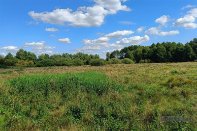 Działka rekreacyjna nad rzeką i jeziorem - Stare Wierzchowo   -
Zachodniopomorskie Zdjęcie nr 10