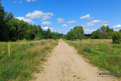 Działka rekreacyjna nad rzeką i jeziorem - Stare Wierzchowo   -
Zachodniopomorskie Zdjęcie nr 12