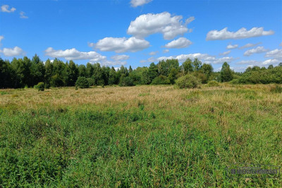 Działka rekreacyjna nad rzeką i jeziorem - Stare Wierzchowo   -
Zachodniopomorskie Zdjęcie nr 8