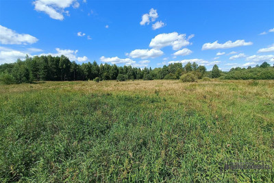 Działka rekreacyjna nad rzeką i jeziorem - Stare Wierzchowo   -
Zachodniopomorskie Zdjęcie nr 9