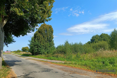 Działka budowlana w pobliżu jeziora Pile - Silnowo   -
Zachodniopomorskie Zdjęcie nr 5