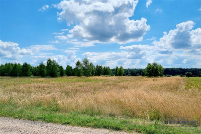 Działki na skraju wsi blisko lasu - Kowalki   -
Zachodniopomorskie Zdjęcie nr 10