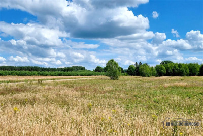 Działki na skraju wsi blisko lasu - Kowalki   -
Zachodniopomorskie Zdjęcie nr 13